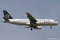 EC-IOH