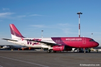 HA-LWF